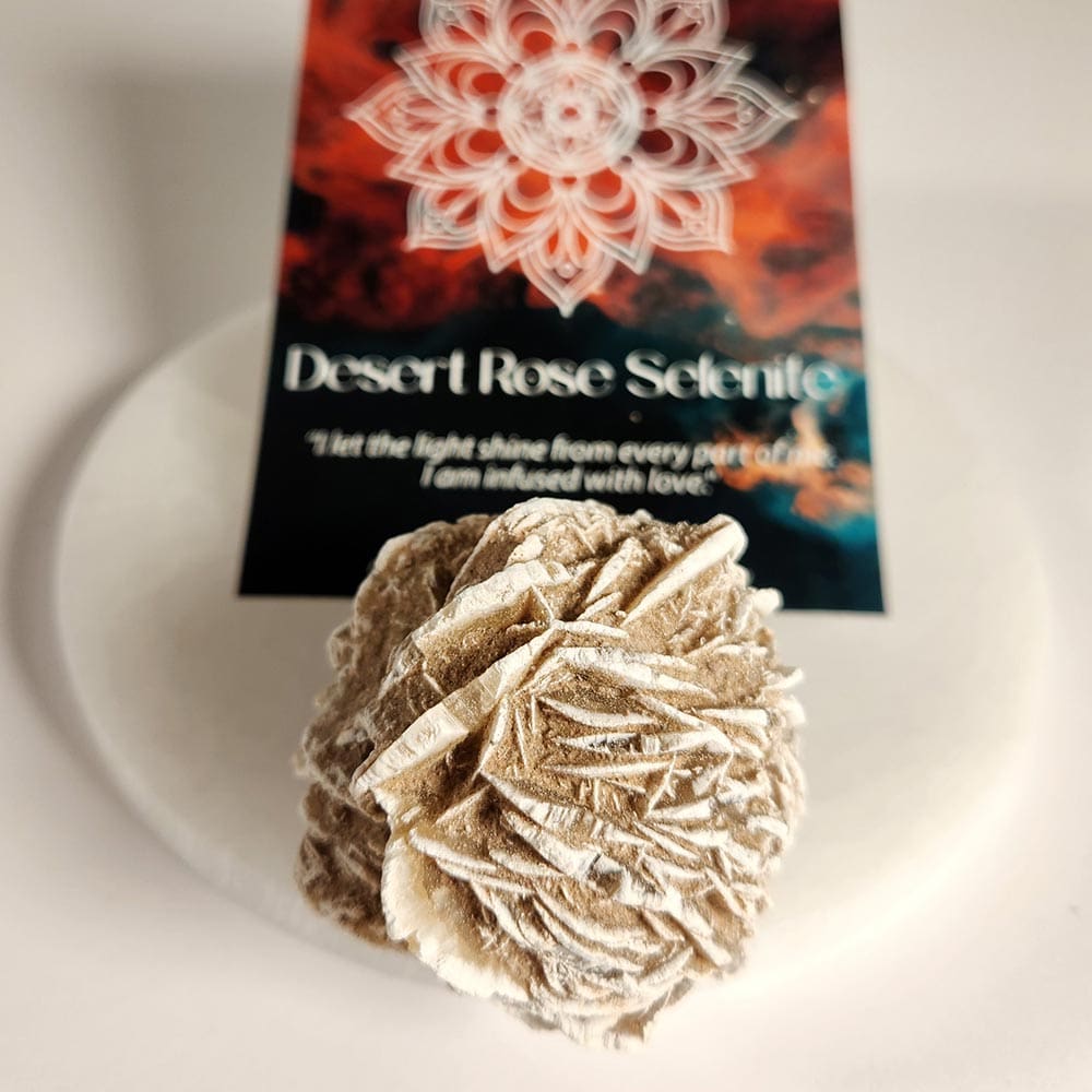 Love-Premium-Desert-Rose-1