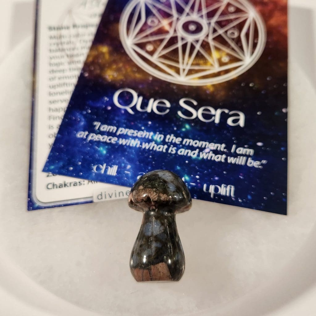 essentials-que-sera