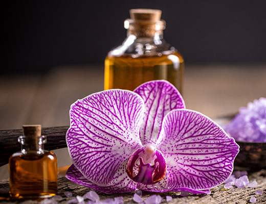 Aromatherapy oils and a purple orchid arranged for a spa enhancement
